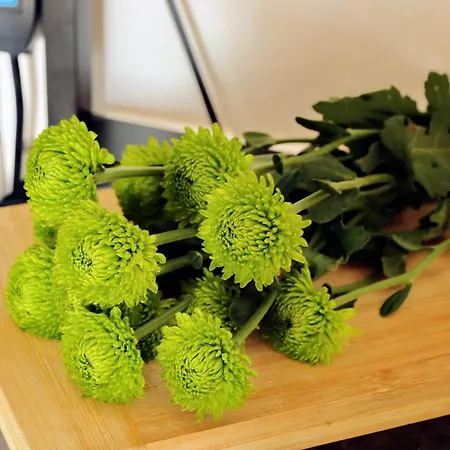 Martas Flat By Domusdimore アパート